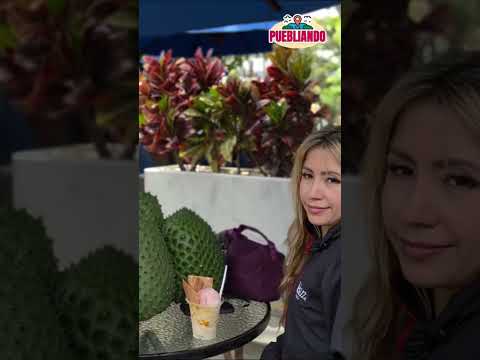 Quindío: ¡Relájate en el Parque Principal de Circasia!