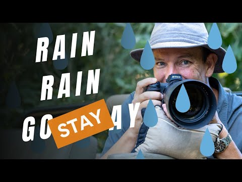 Photographing In The Rain: Why It's The Perfect Idea