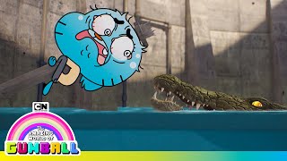 Gumball in Danger | The Amazing World of Gumball | Cartoon Network