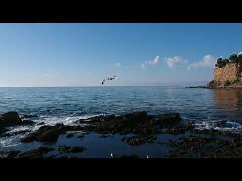 Shea, Sawyer & VuVu Palos Verdes 2019