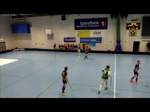 GIF Innebandy
