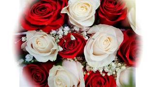 [ Lyrics] Beautiful In White - Shayne Ward