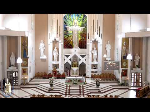 LIVE - Biserica Romano-Catolică  Sfinţii Petru si Paul  Bacau