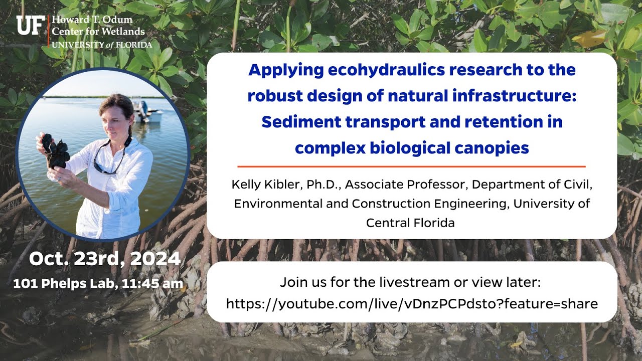 W3 Seminar: Applying ecohydraulics research to the robust design of natural infrastructure