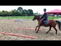 Ponette 4 ans par Pawnee