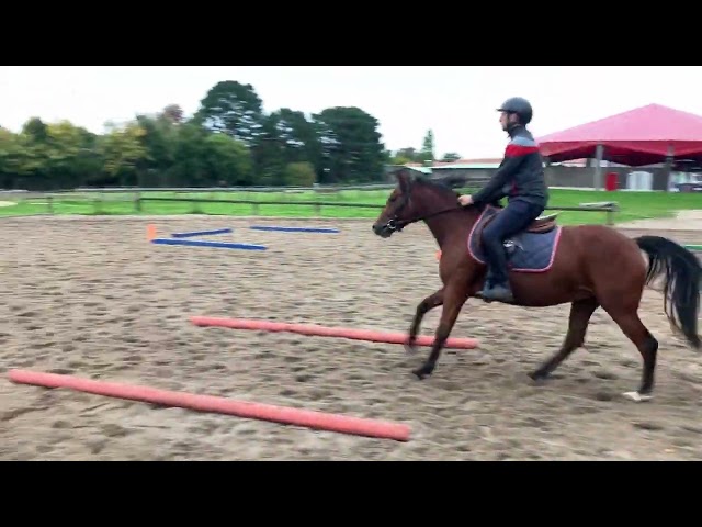 Ponette 4 ans par Pawnee