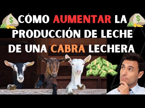 , title : '🤑Cómo Aumentar La Producción De Leche De Una Cabra LECHERA AUMENTARAS TUS GANANCIAS Y GANARAS DINERO'