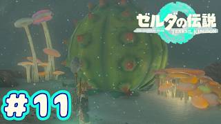 ＃１１　ひきこもり大妖精【ゼルダの伝説～ティアーズ オブ ザ キングダム～】