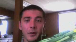 Download lagu Cool Tan Swimwear review mp3