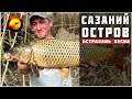 Ловля сазана весной / Карась и сазан на донку / Рыбалка на острове в Астрахани Ловля сазана весной / Карась и сазан на донку / Рыбалка на острове в Астрахани