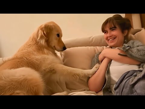 Le chien et l'homme les plus drôles du mois