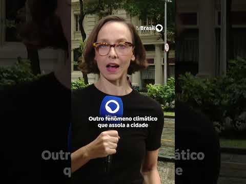Segundo UNICEF, 16 milhões de jovens estão expostos a três ou mais riscos climáticos no Brasil
