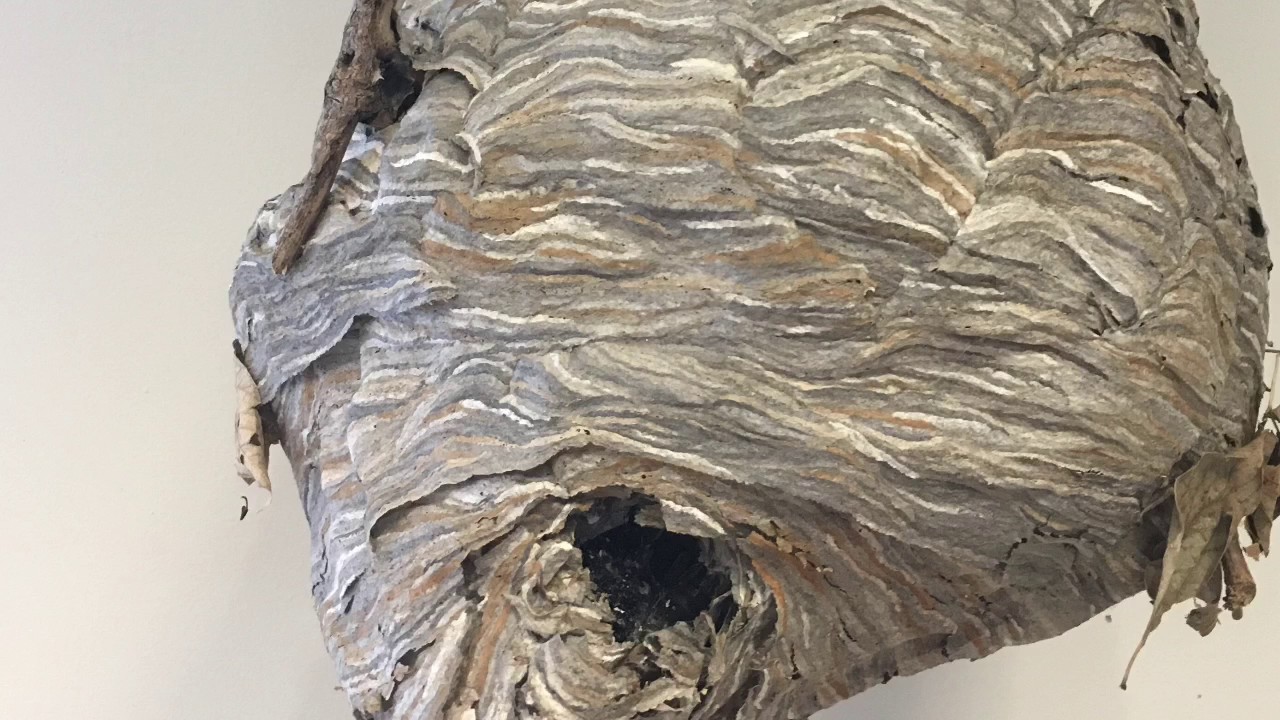 Life Learning Center KC