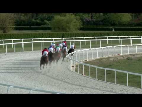 2017.04.16. 8. futam - HÚSVÉTI HENDIKEP (V.o.) (szintetikus pálya)