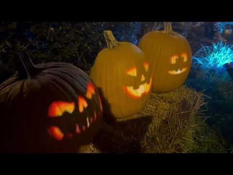 What the Tech: Digital decorations for Halloween