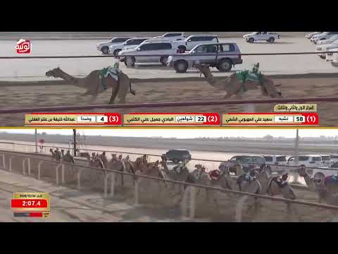  ش 12 (وضحى) لـ عبدالله خليفه بن عنتر 4:24:26 ، شارة الديوان 2026/10/04 حقايق الوثبة
