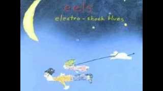 Eels - P.S. You Rock My World