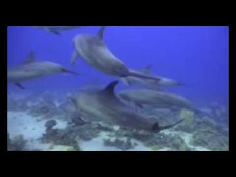 Fanus, Hurghada - allgemein,Ägypten