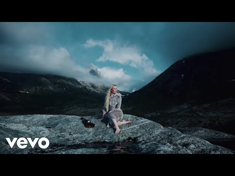 Frode Fjellheim: Under the Arctic Moon (Official Music Video)