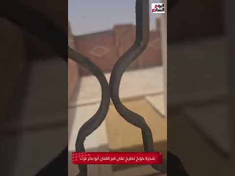 أقرب أصدقاء صلاح السعدني.. شجرة خوخ تطرح على قبر الفنان أبو بكر عزت