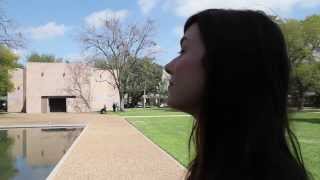 Noveller - St. Vincent - Day 9, Day Off, Houston, TX - Pinhead