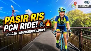 Cycling Pasir Ris Park PCN | Exploring Singapore’s Hidden Mangrove Loop 🚴‍♂️🇸🇬