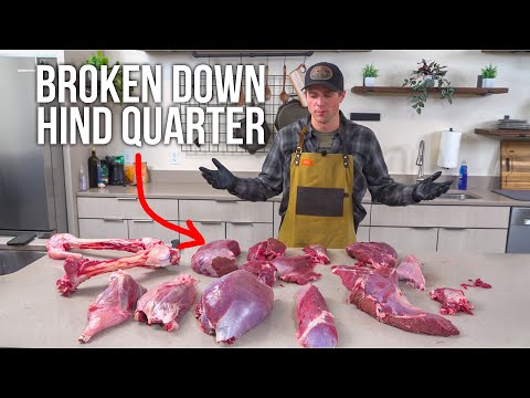 Elk Hind Quarter Masterclass: From Butchering to Delicious Meals