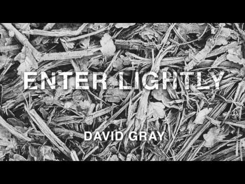 David Gray - 'Enter Lightly' (Official Audio)