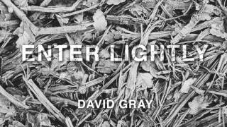 David Gray - 'Enter Lightly' (Official Audio)