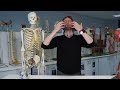 Airway Anatomy