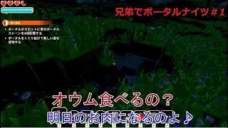 【ポータルナイツ】兄弟でポータルナイツ実況プレイ＃1【真剣兄弟】