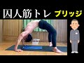 【囚人式自重筋トレ】ブリッジから起き上がるやつはめちゃ練習しました