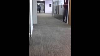 Paddy Power nails 120 foot putt!