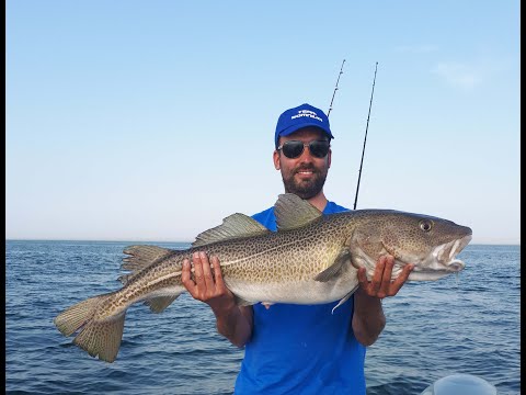 Team Somnium in Spodsbjerg juni 2019