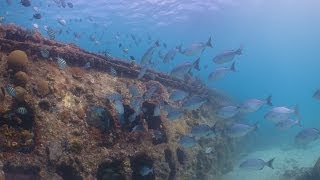 preview picture of video 'Wrecks of Barbados'