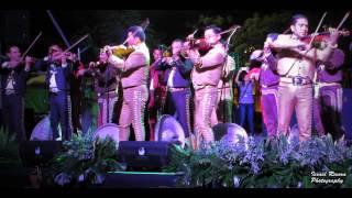 Son de la Negra, Mariachi Vargas, Camperos, de América y el Nuevo Tecalitlán