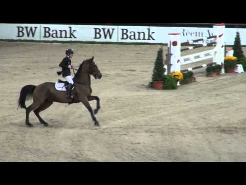 Küchengirl (webstallions.com)