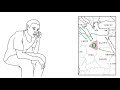Video Abstract Smuggling Trafficking And Extortion Antipode