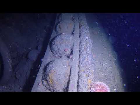 SMS Bayern Battleship Caesar & Dora Turrets Dive Scapa Flow