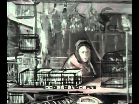 6th Michetti Prize in Francavilla.