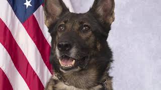 K-9 Ziva Ceremony