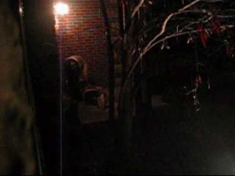 download lagu mp3 mp4 Human Filleted Blunt Force Embludgeonment 2010 DiTCH, download mp3 Human Filleted Blunt Force Embludgeonment 2010 DiTCH free download mp3, download mp3 Human Filleted Blunt Force Embludgeonment 2010 DiTCH