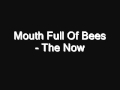 Mouth Full Of Bees- The Now