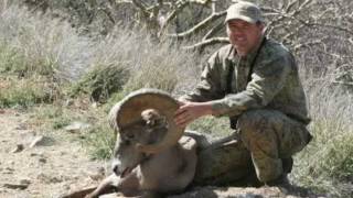 preview picture of video 'Desert Bighorn Sheep Hunting in Sonora'