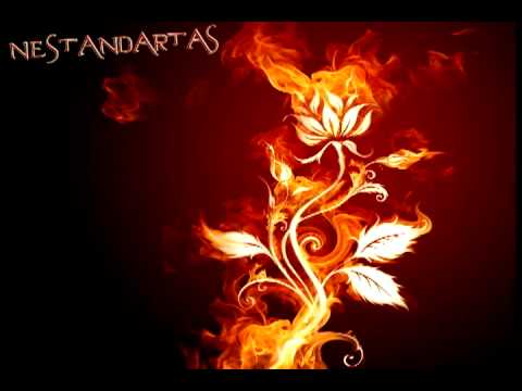 Shalmaz - Iš dulkių į dulkes