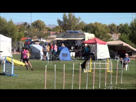 Glider Standard 111013