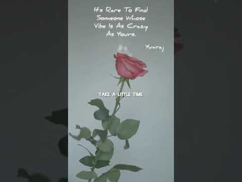 wait for the wind wait for the night#whatsappstatus