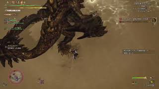 モンハンワイルズ　神お守りを求めて…　オメガもいくかも…