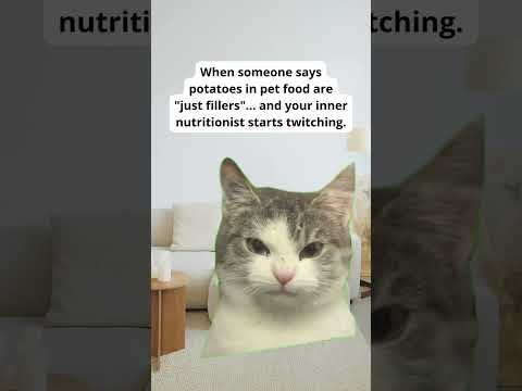 More than just carbs, folks! 🥔✨