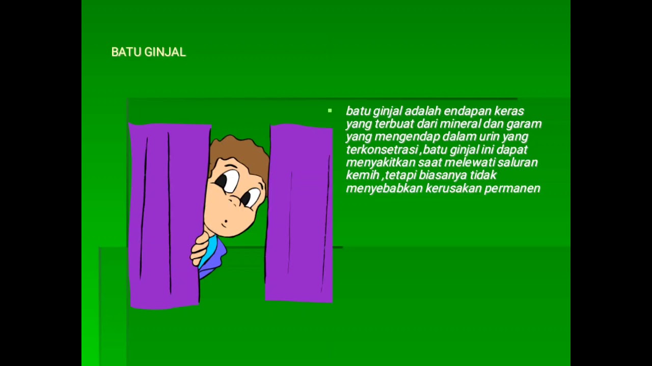 Ppt presentasi anatomi fisiologi penyakit pada batu ginjal